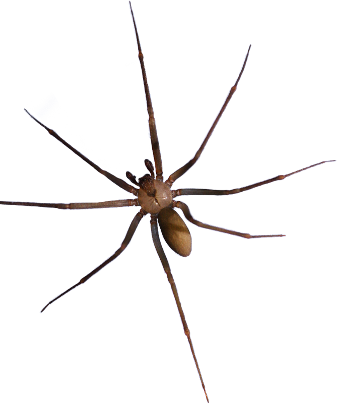 Pest Control McMahon Exterminating Home